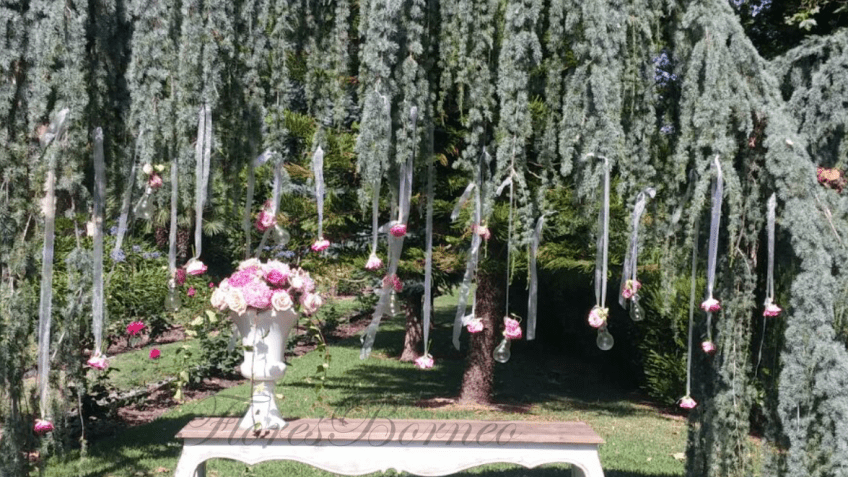 floresborneo-centro-de-flores-en-palma-de-mallorca-floristeria-borneo-boda